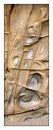 Sandstone Erosion